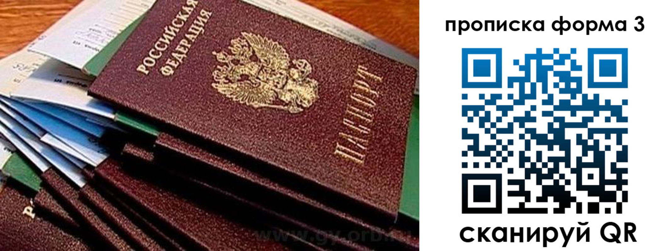 прописка иностранных граждан в Светлограде